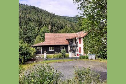 Vakantiewoning met 2 appartementen in Bois de Champ Vogezen HW1070